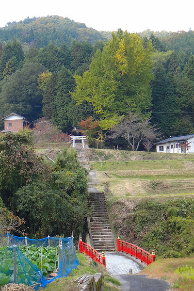 f0007926_11213121.jpg