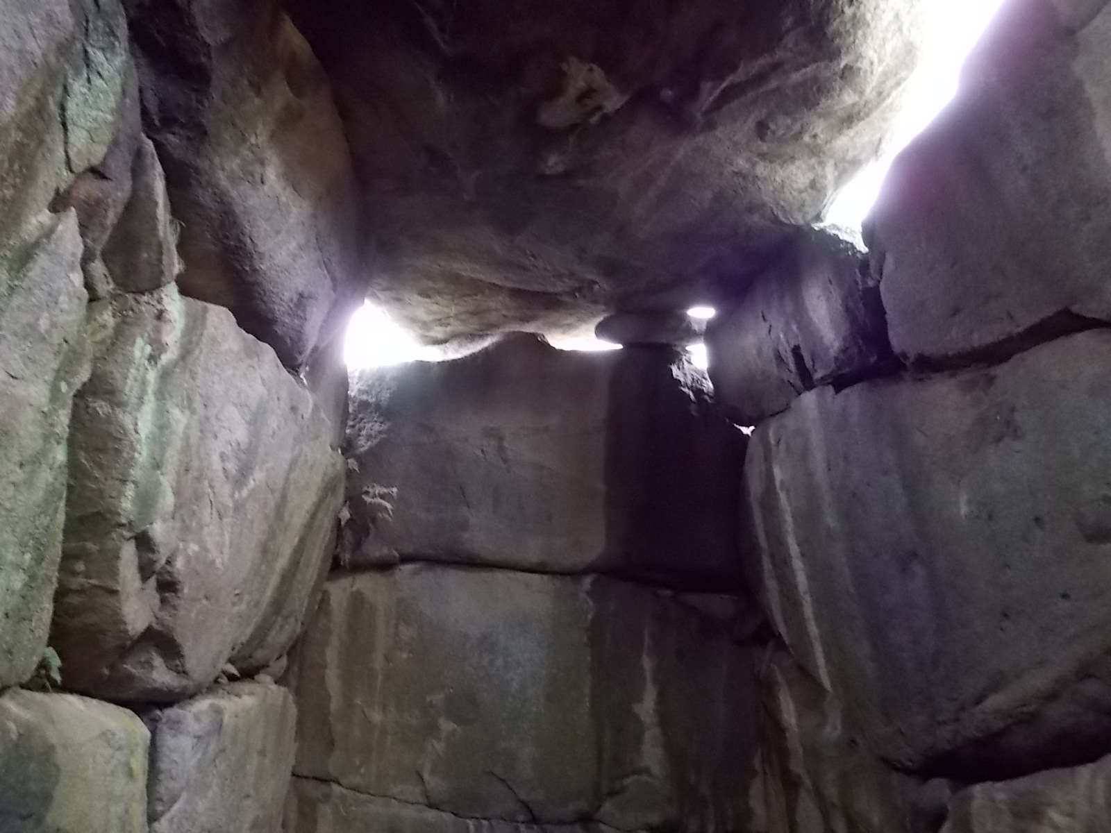 f0111128_11195553.jpg
