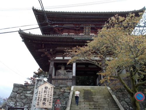f0111128_11215055.jpg
