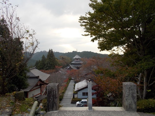 f0111128_11235083.jpg