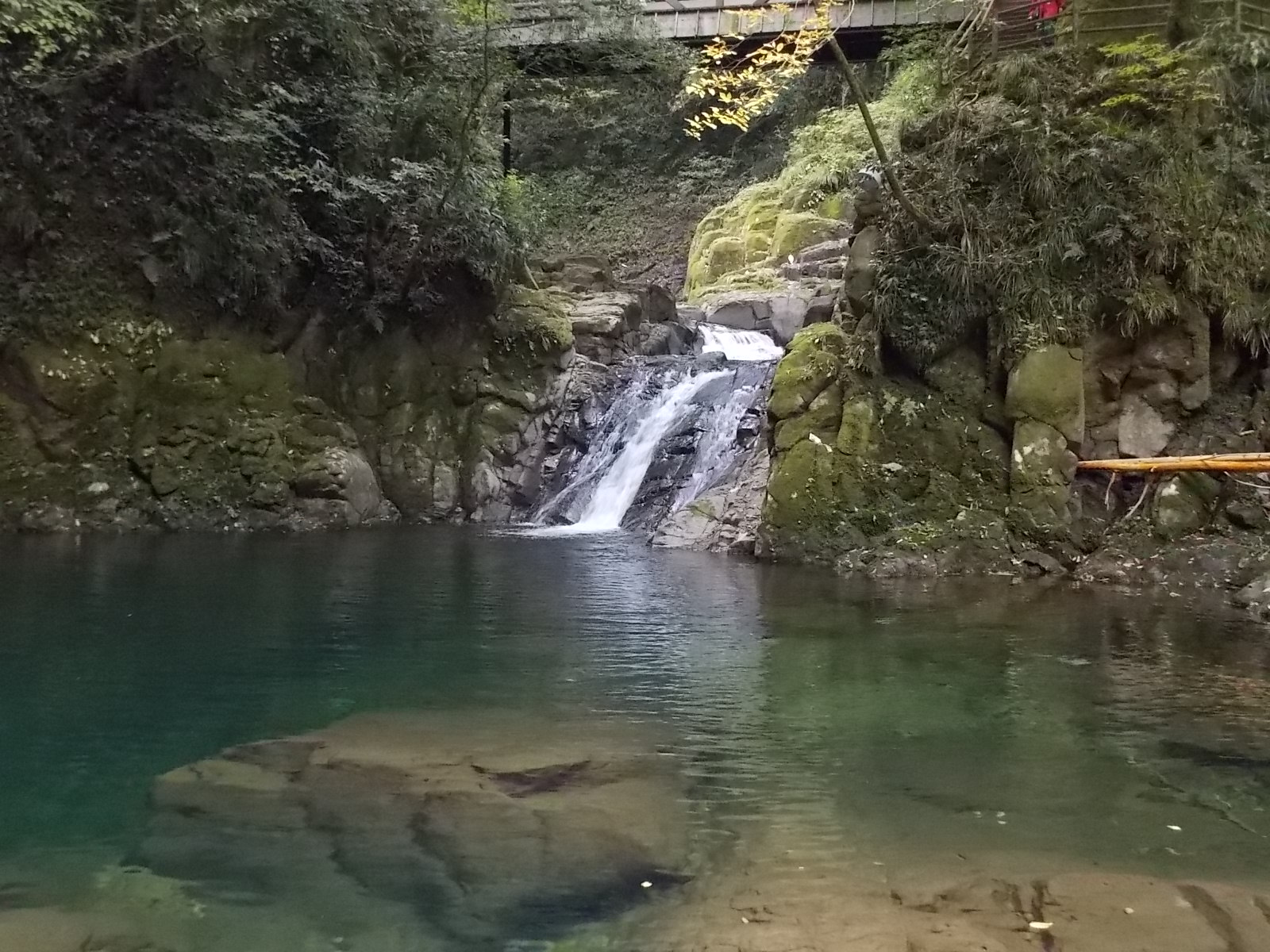f0111128_1126254.jpg