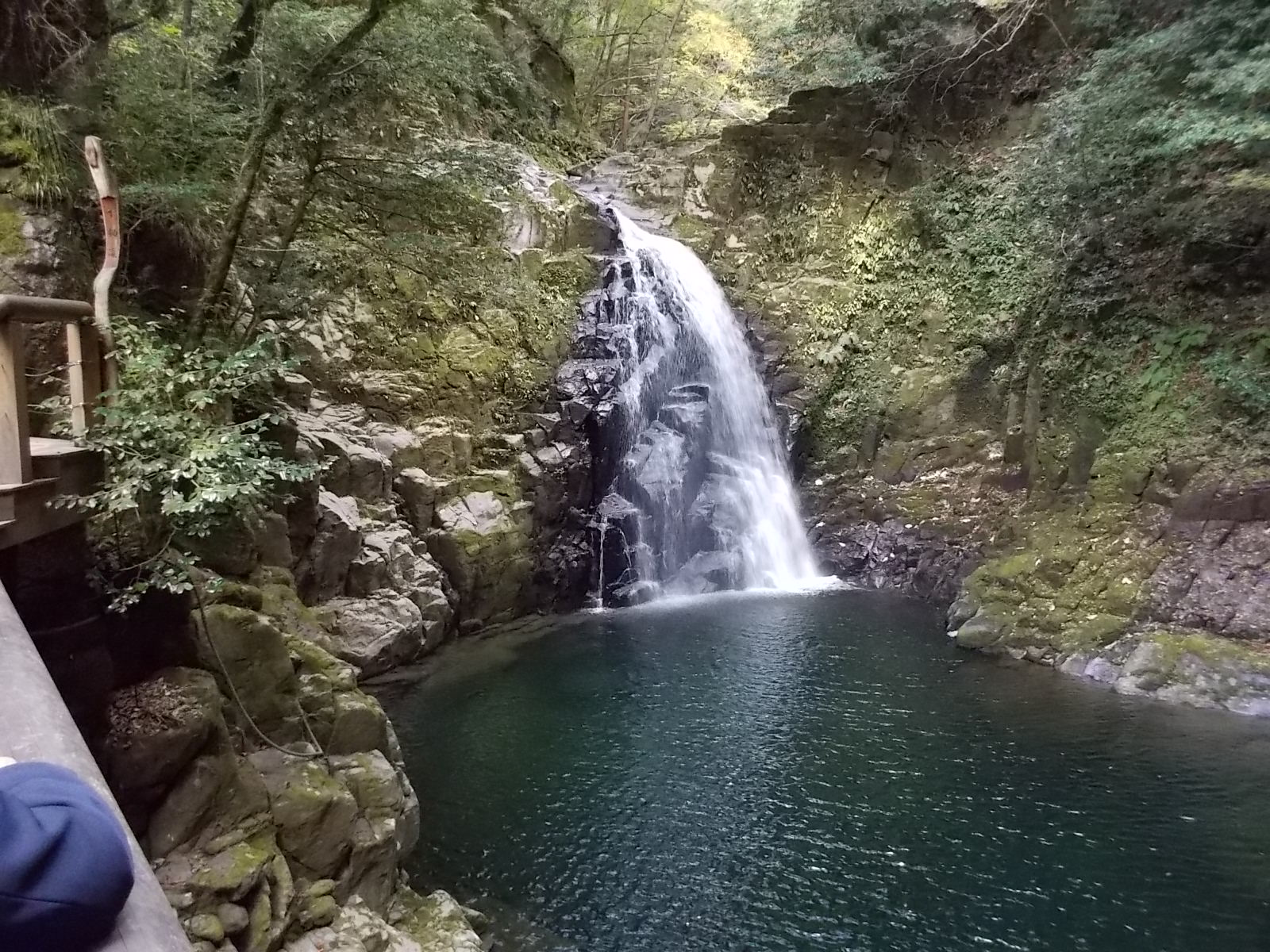 f0111128_1126553.jpg