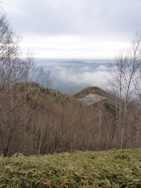 a0024829_1148444.jpg