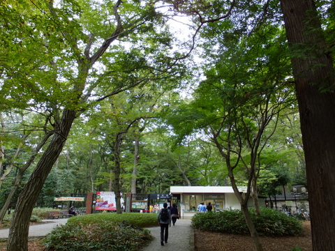 b0281732_4413010.jpg