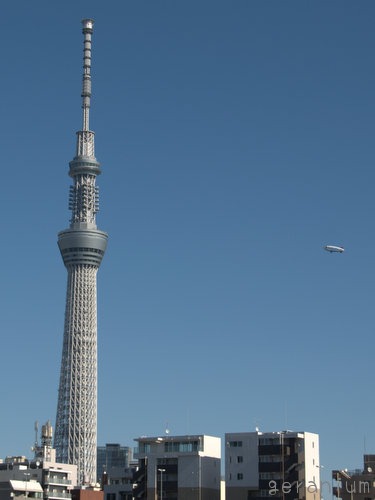 c0133533_0234430.jpg