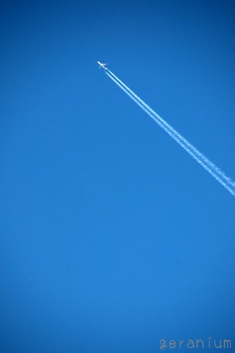 c0133533_0373939.jpg