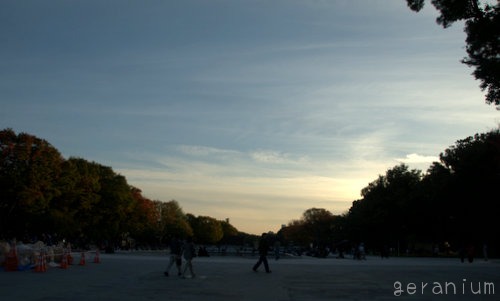 c0133533_038253.jpg
