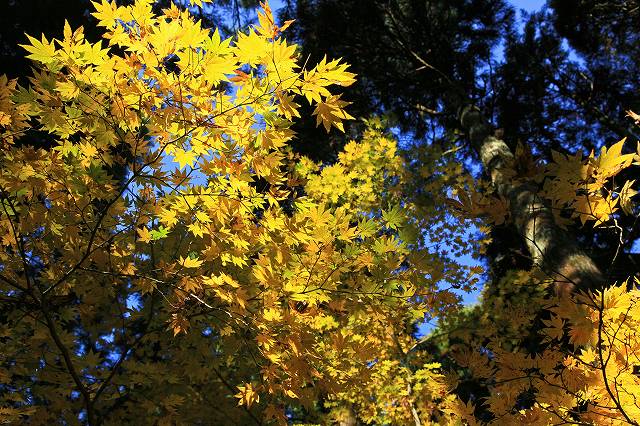a0242438_1933201.jpg