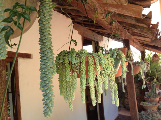 c0217045_2584040.jpg