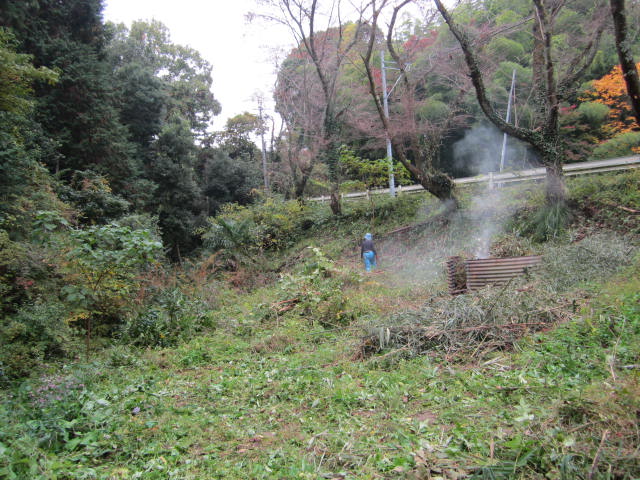 b0132746_22303028.jpg