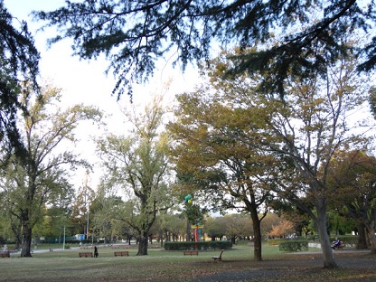 f0046854_2310983.jpg