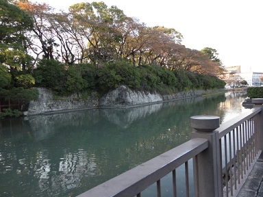f0046854_2341996.jpg