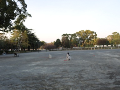 f0046854_2381388.jpg