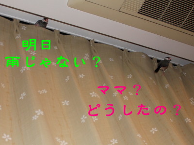 b0158061_22425776.jpg