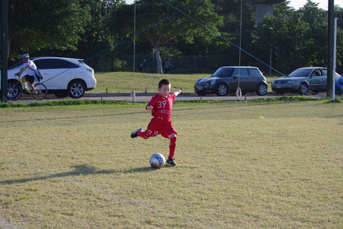 e0047361_3431718.jpg