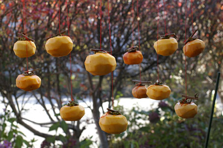 b0075364_2113467.jpg