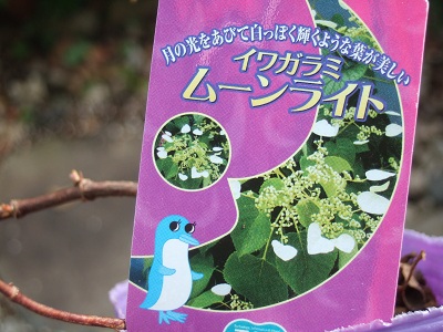 e0225164_7181829.jpg