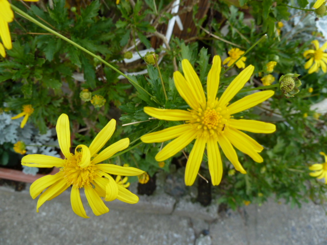 e0278968_2250555.jpg