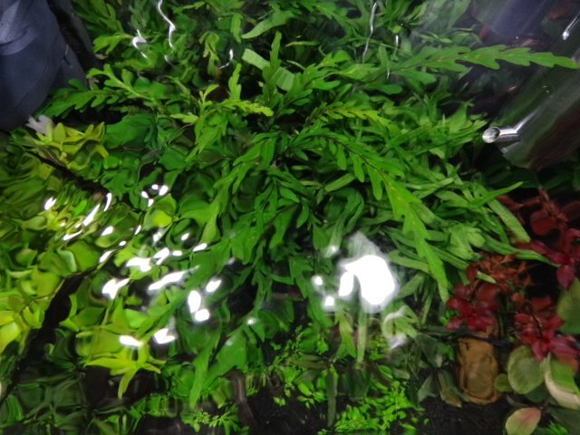 c0225669_1942262.jpg