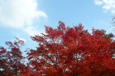 a0220570_21374751.jpg