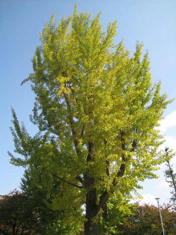 c0117570_15103485.jpg