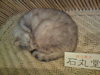 c0116072_6152285.jpg