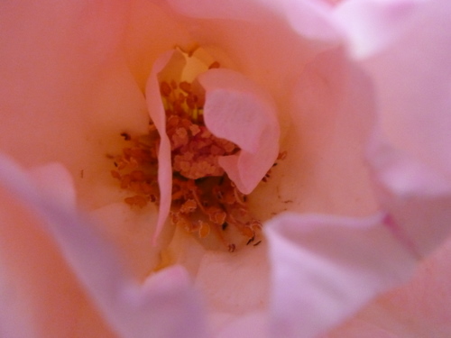 c0216472_1805023.jpg