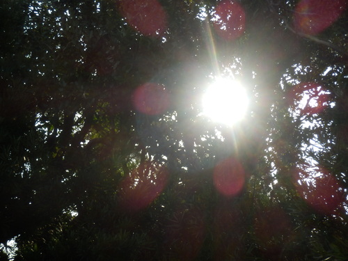 e0292172_20291724.jpg