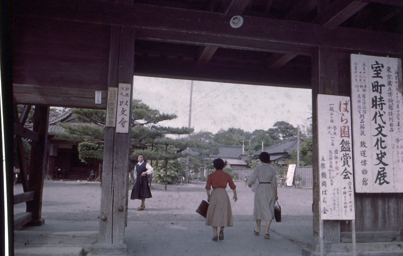 f0168873_131385.jpg