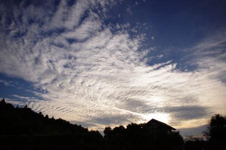 f0215475_23483988.jpg