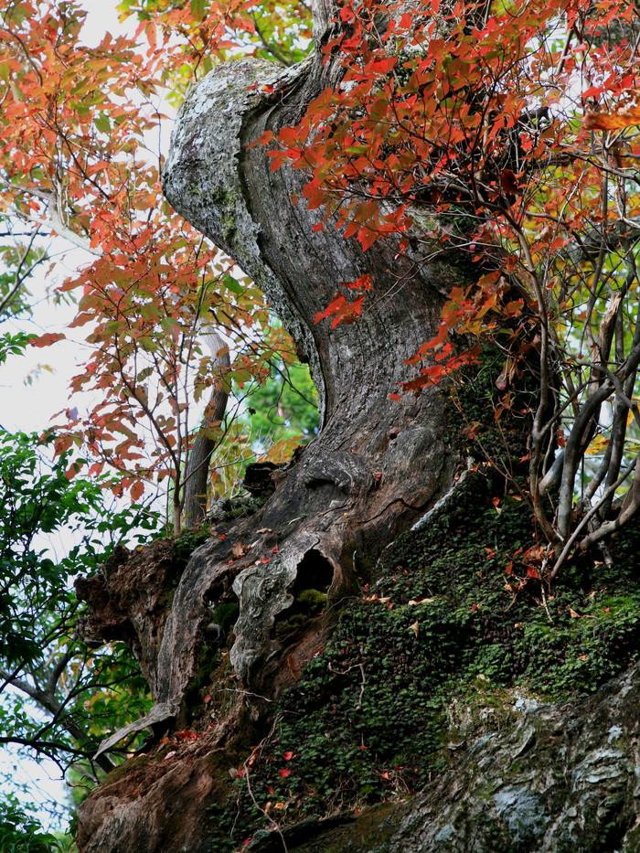 c0250376_1322883.jpg