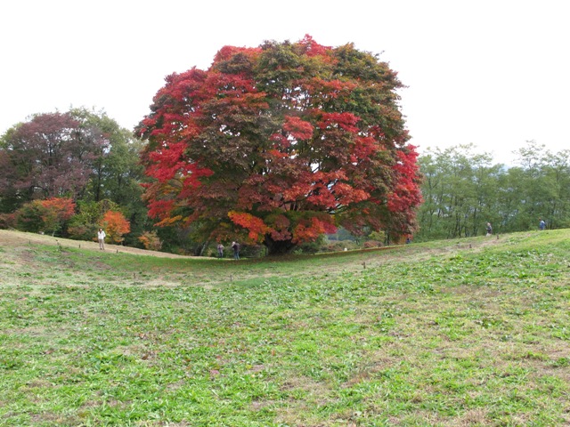 a0091680_1041348.jpg