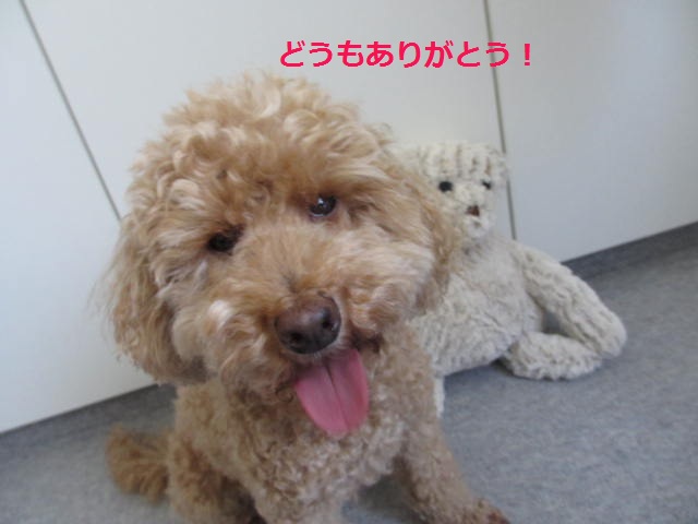 c0188086_050742.jpg