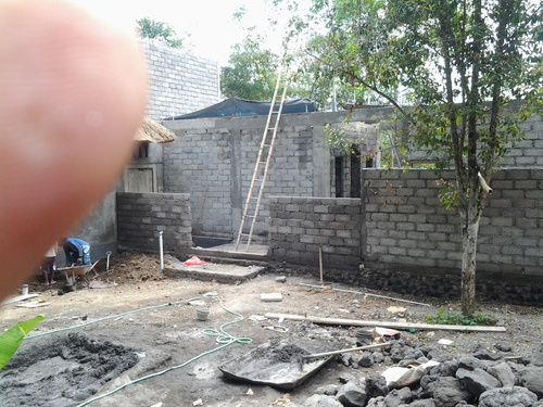 a0154887_927111.jpg