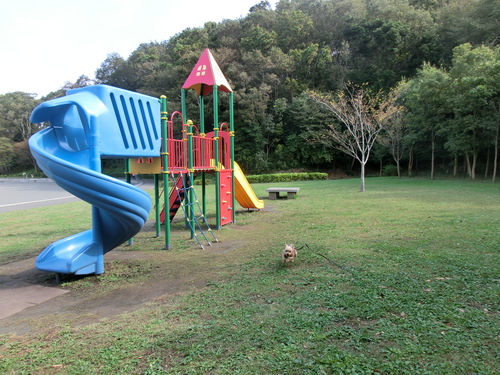 e0123587_1057573.jpg