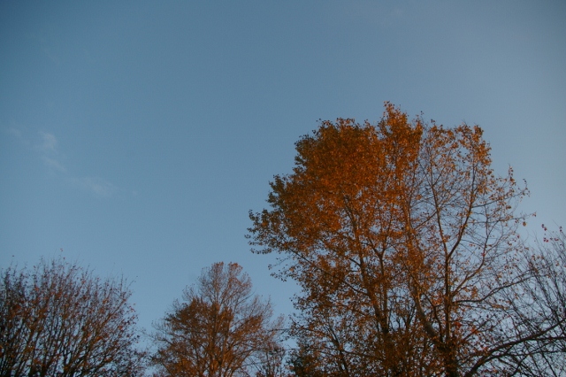 b0283192_633824.jpg