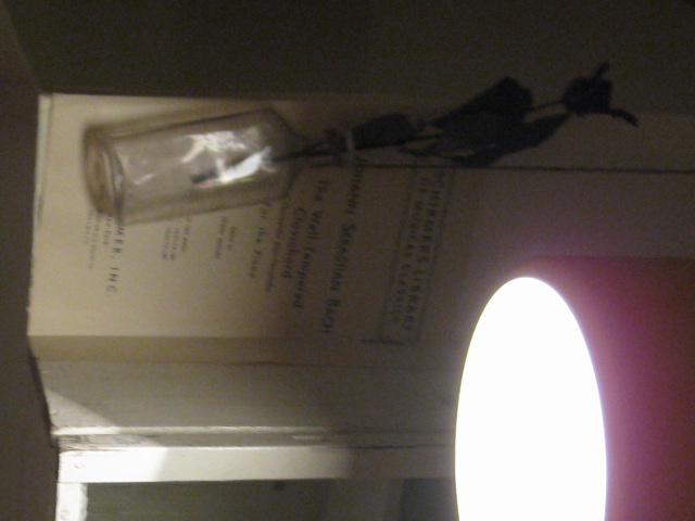 d0160692_159414.jpg
