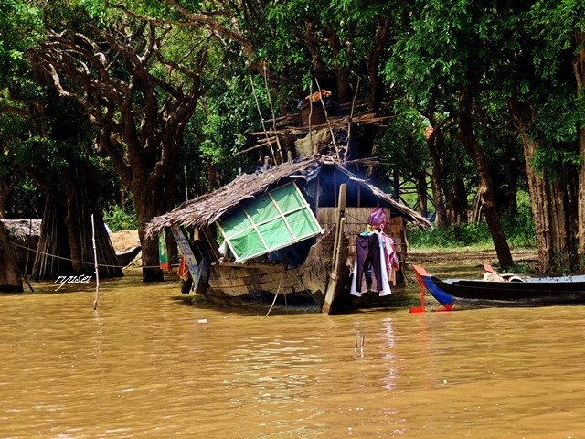 f0053297_2423386.jpg
