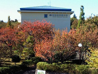 b0160300_2393371.jpg