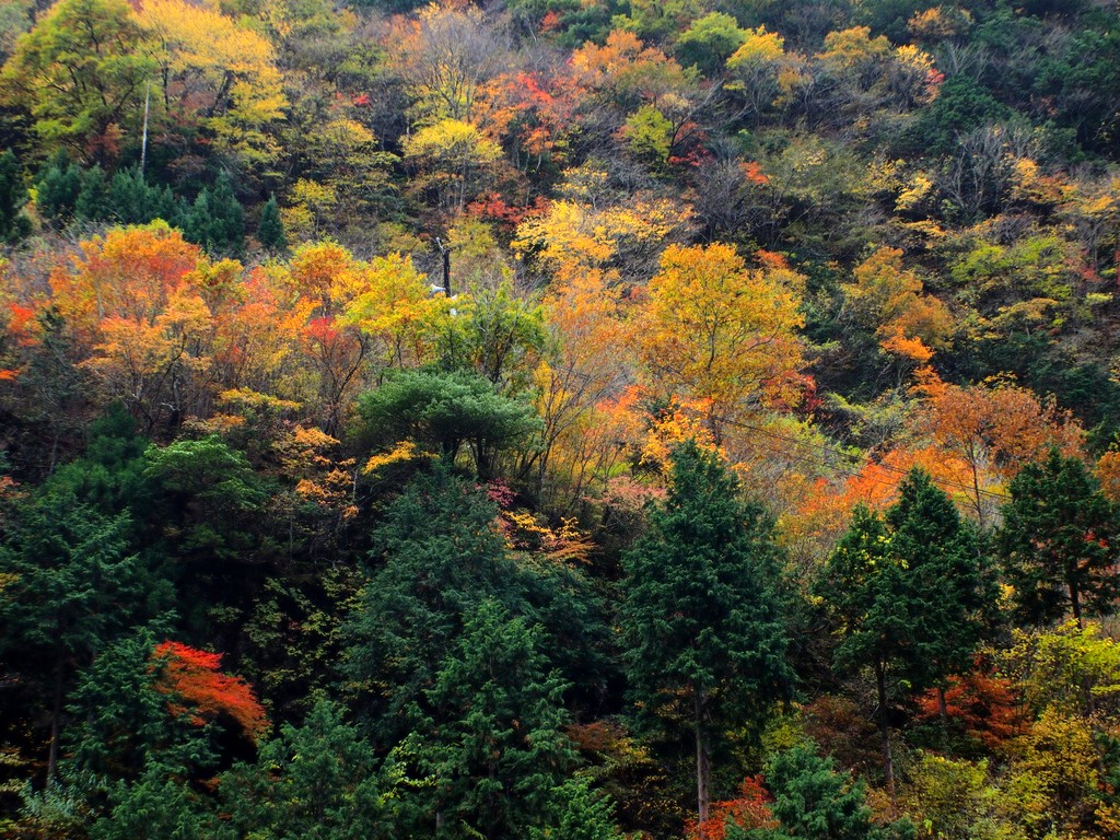 b0138101_2272719.jpg