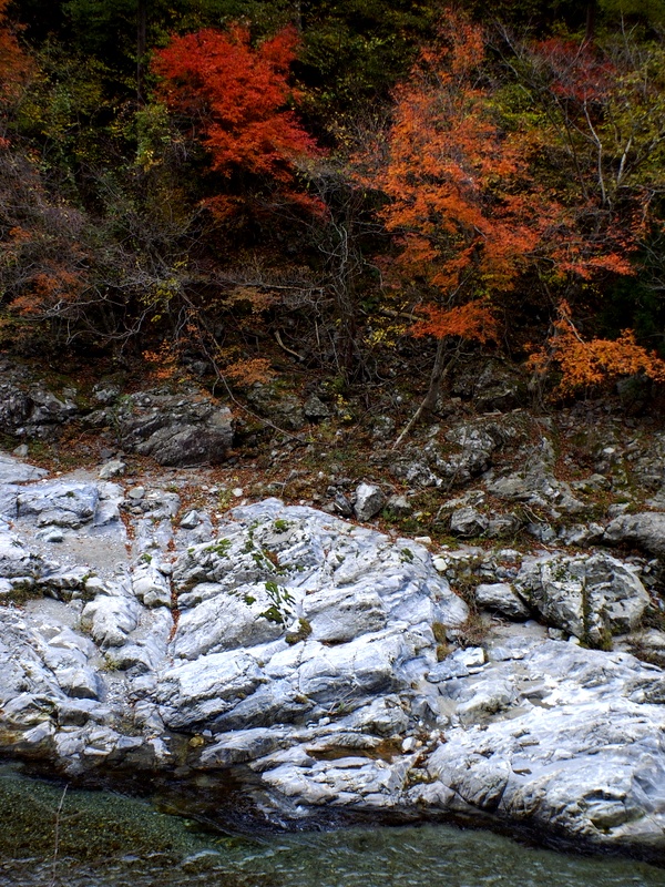 b0138101_2273347.jpg