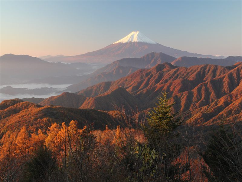 a0188405_13244577.jpg