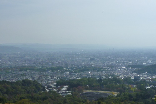 d0157709_19402171.jpg