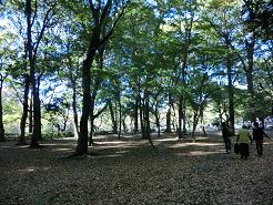 f0022024_22134040.jpg