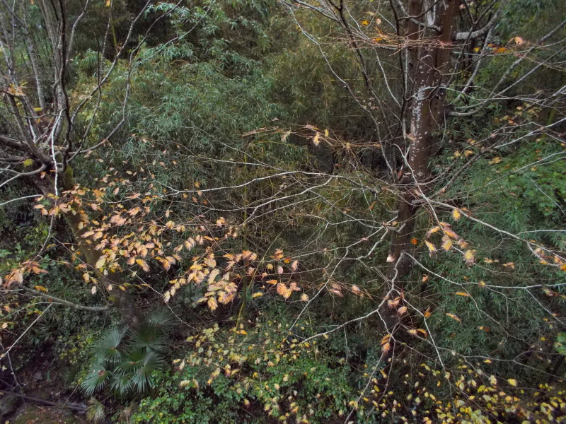 c0109827_18372637.jpg