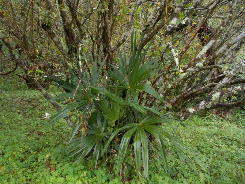 c0109827_18373578.jpg
