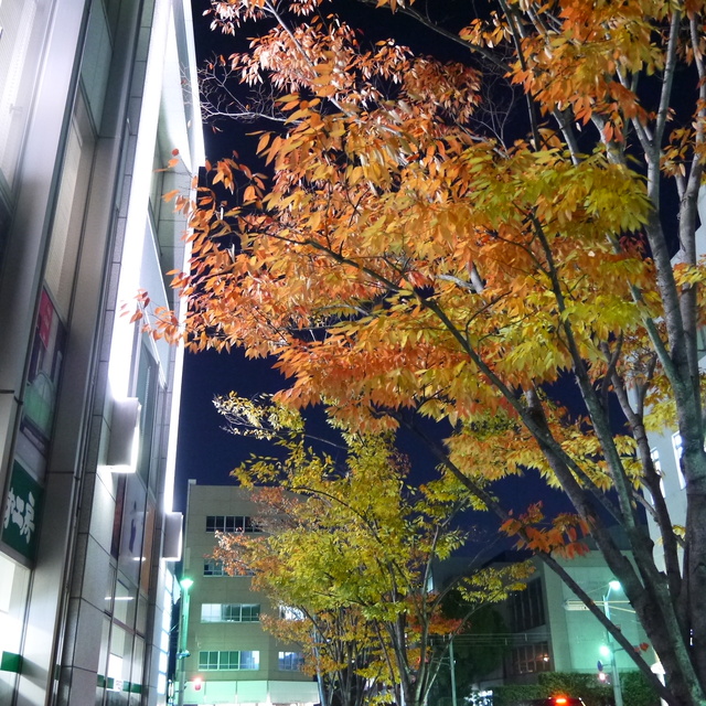 f0231829_21142462.jpg