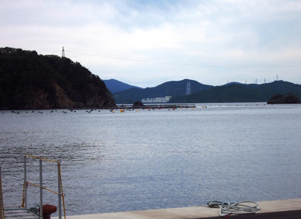 b0219534_1232769.jpg