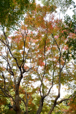 a0097735_2184221.jpg