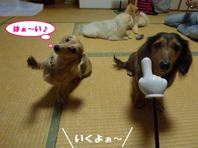 f0186040_22251681.jpg